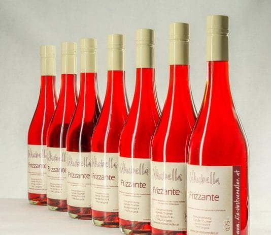 ¿Qué es un vino frizzante?