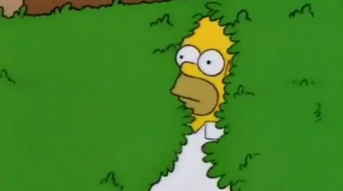 Homer Arbusto Hombre burla la cuarentena disfrazado de arbusto