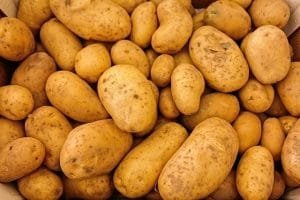 Qué comer en Roma: Descubre los platos más auténticos de la capital italiana