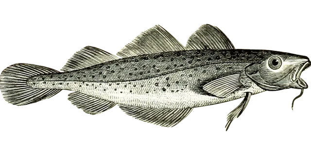 ¿Cuál es el origen y significado de la expresión «partir el bacalao»?