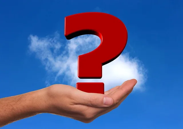 question-mark-g86d21d402_640 Significado de 1312