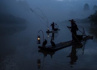 Codling Fishing: La Guía Completa para Pescar Codling con Éxito Codling Fishing