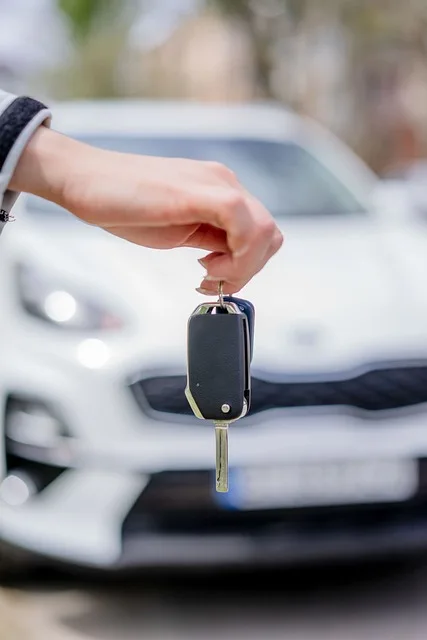 ¿Vale la pena alquilar un coche en Georgia? Guía práctica para viajeros