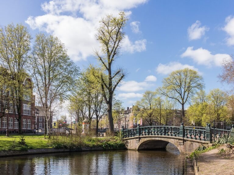 Los mejores barrios que visitar en Ámsterdam Los mejores barrios que visitar en Ámsterdam