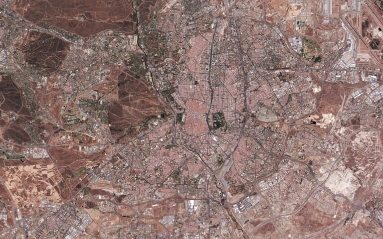 El Rastro de Madrid: horarios, calles y consejos para ir