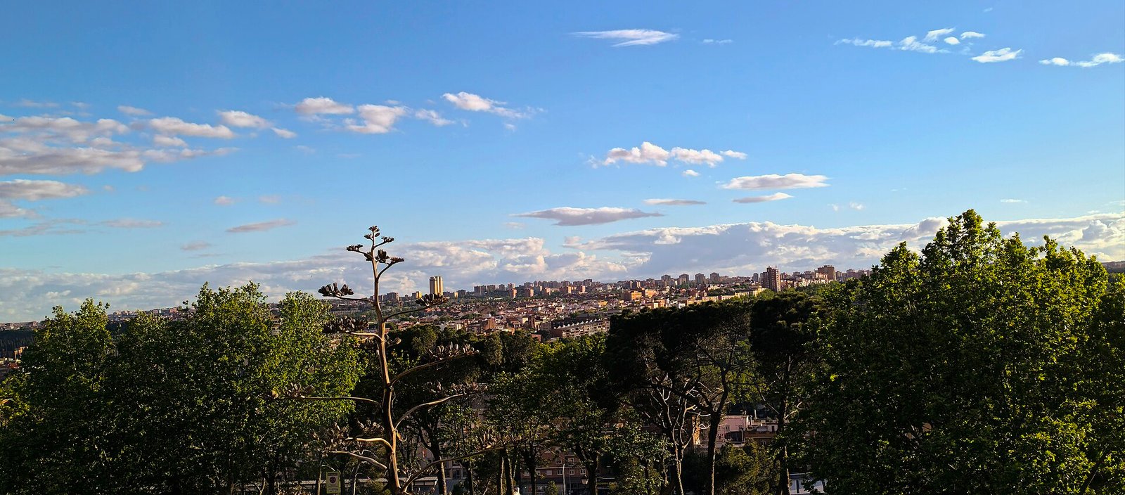 Vista de Madrid Vista de Madrid