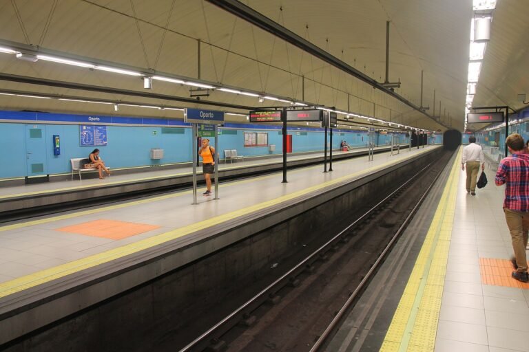 Qué ver en Oporto en un día Qué ver en Oporto en un día