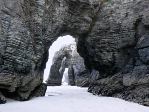 ¿Camellos en Los Cabos? Así es esta experiencia en el desierto